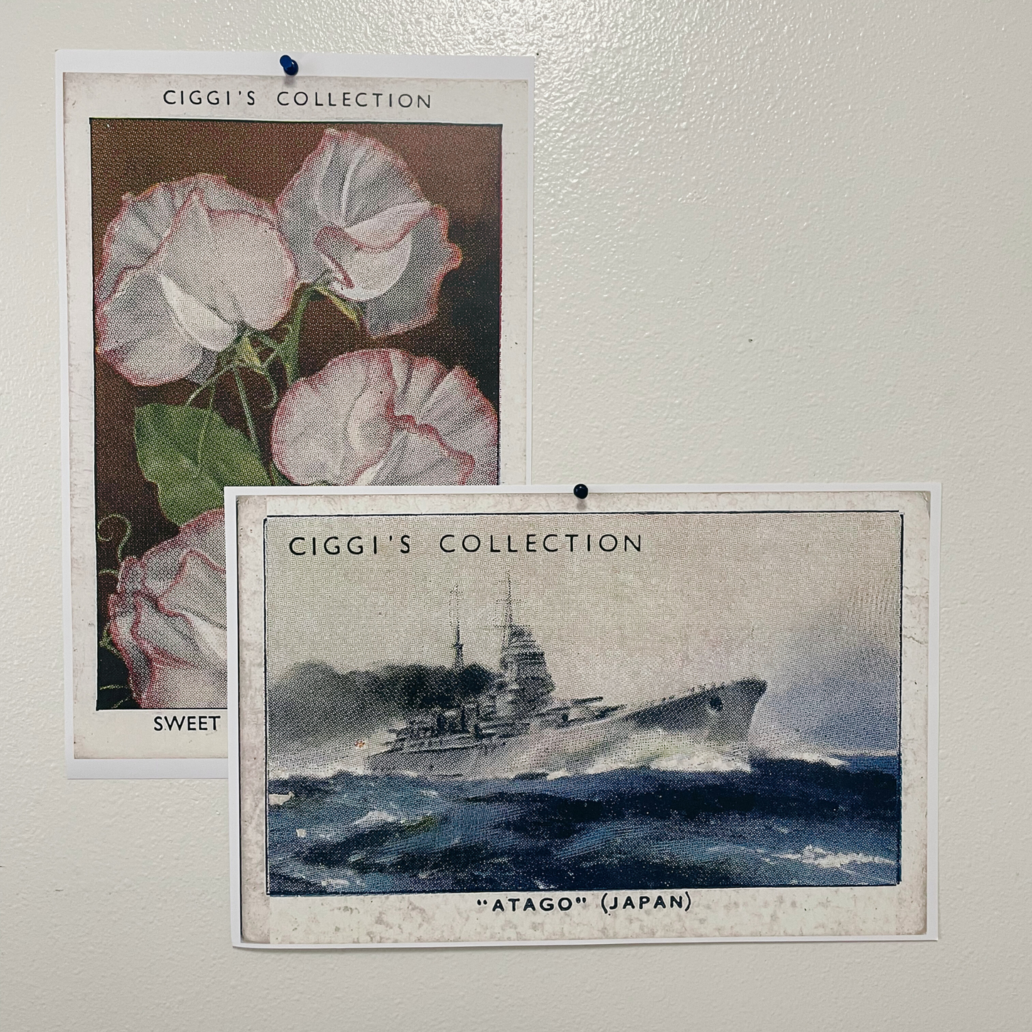 Aircraft of the Royal Air-force Posters
