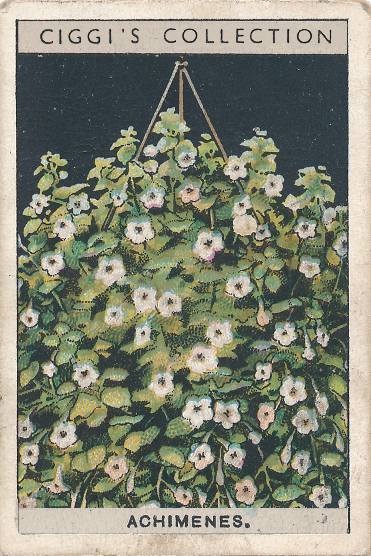 Flower Culture in Pots Posters