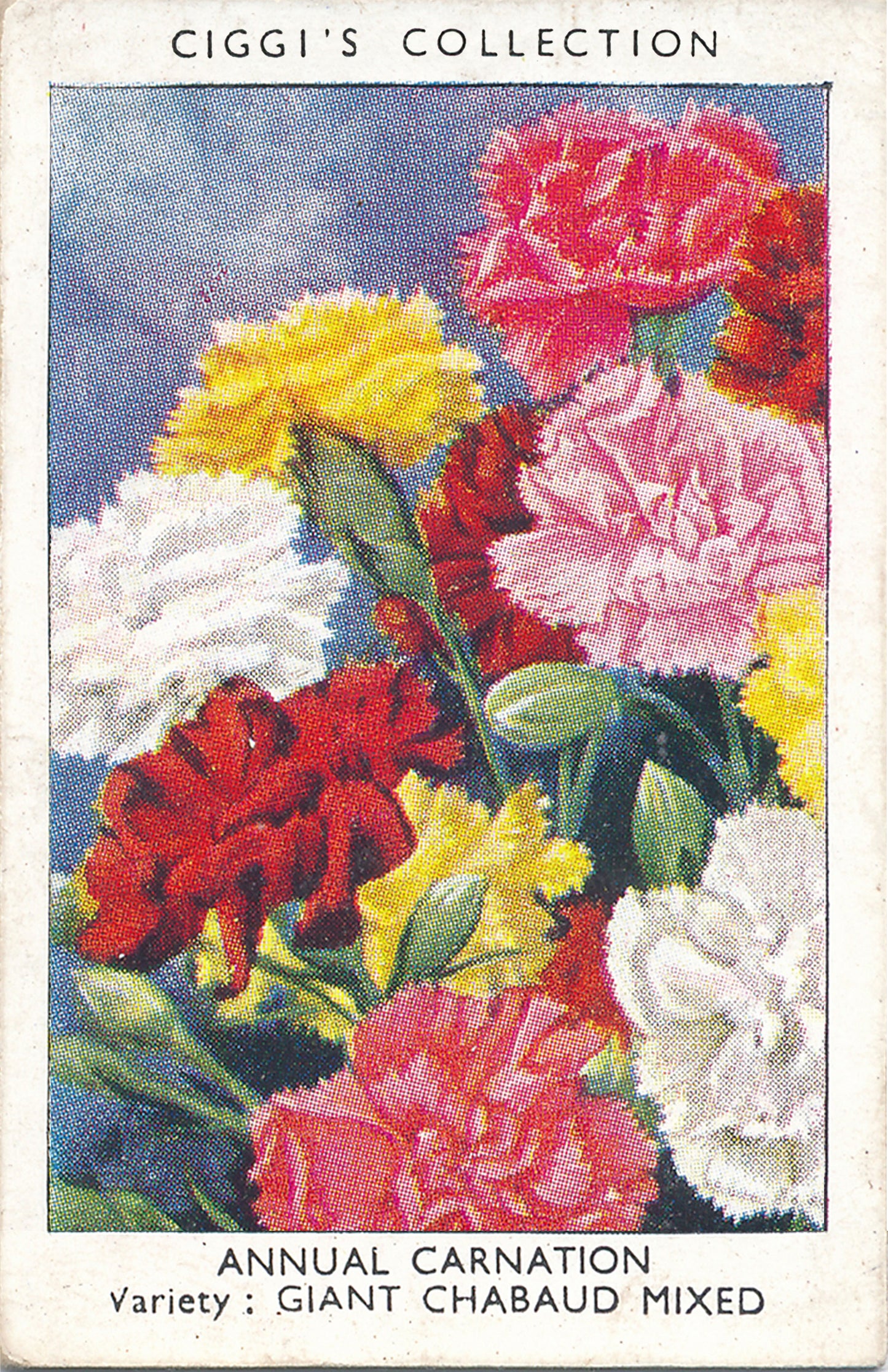 Garden Flowers Series No. 1 - 10 Posters