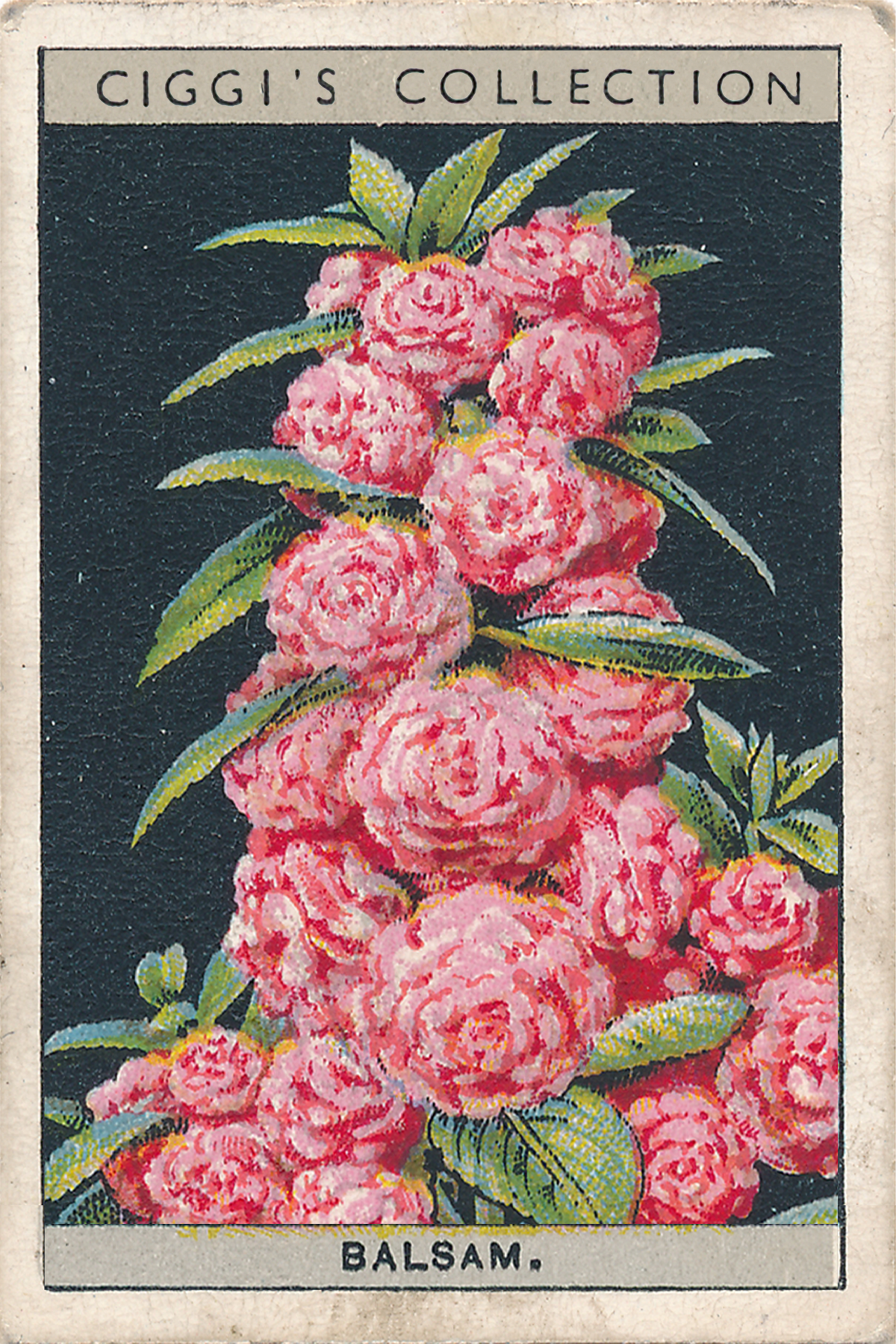 Flower Culture in Pots Posters