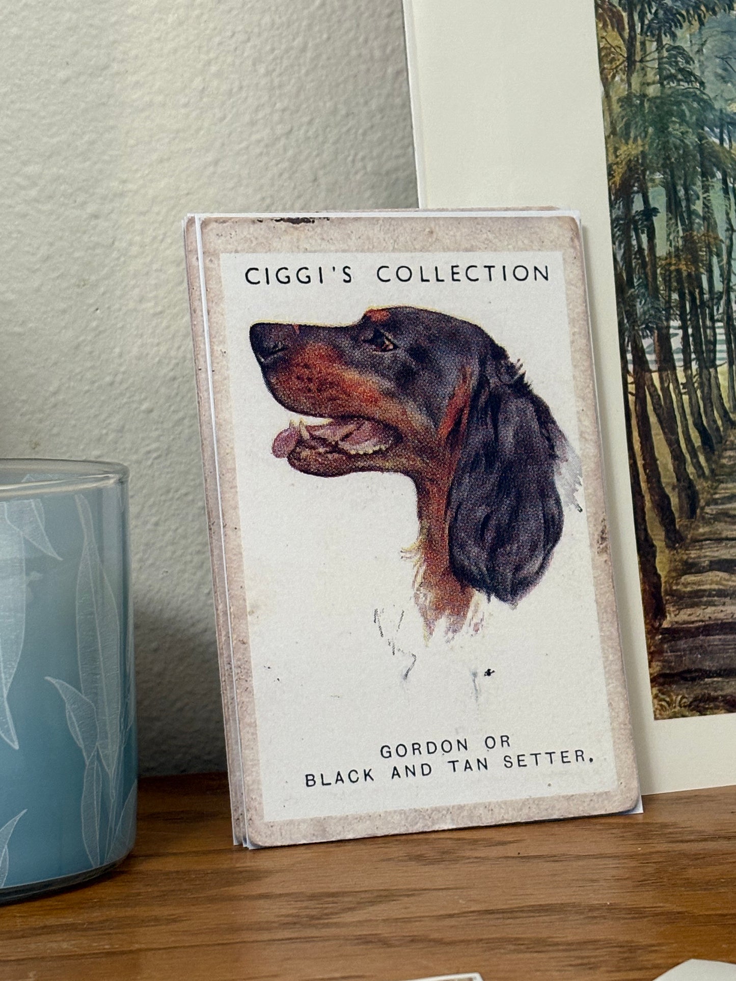 Vintage Gordon or Black & Tan Setter Dog Print | 1930's Cigarette Card