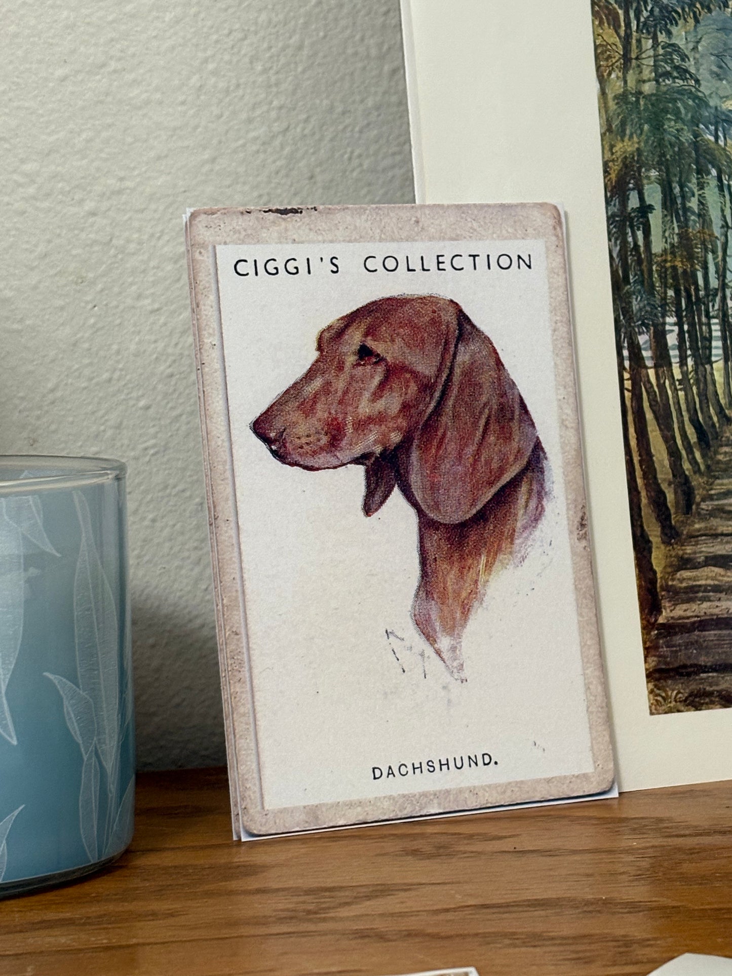 Vintage Dachshund Dog Print | 1930's Cigarette Card
