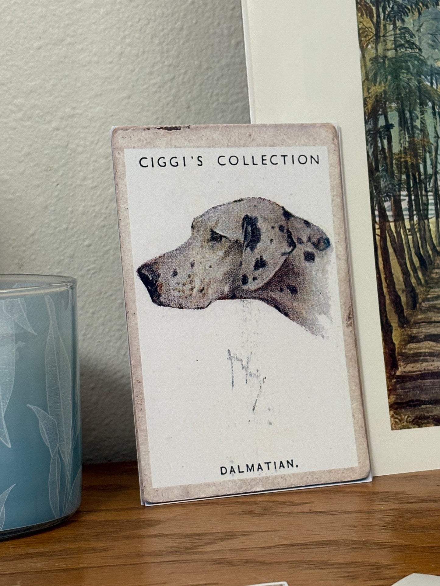 Vintage Dalmatian Dog Print | 1930's Cigarette Card