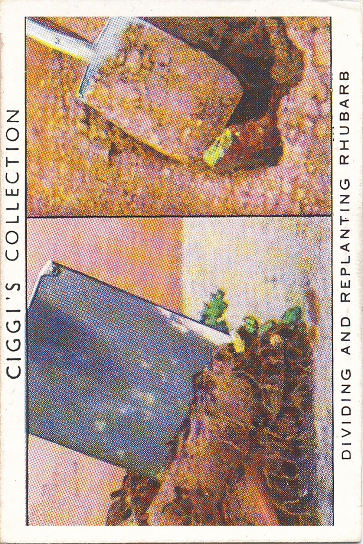 Garden Hints Posters