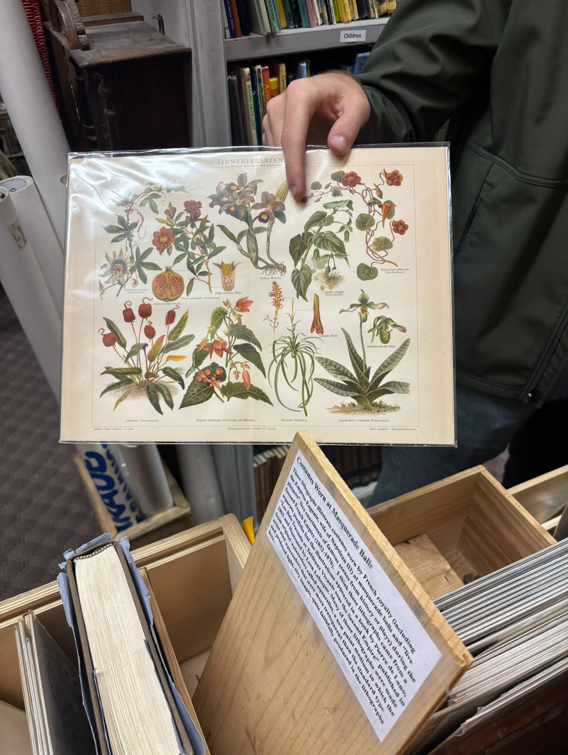 Botanical Print