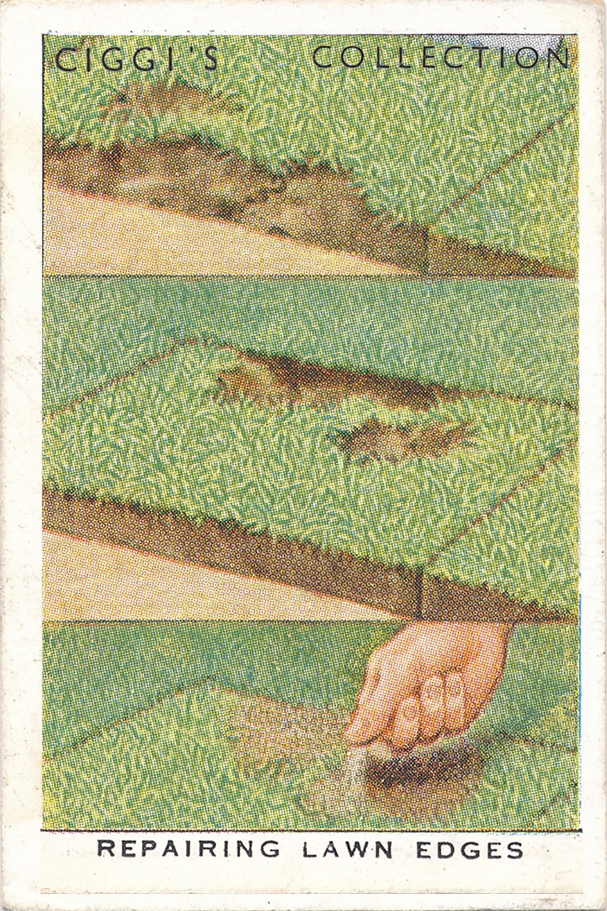 Garden Hints Posters