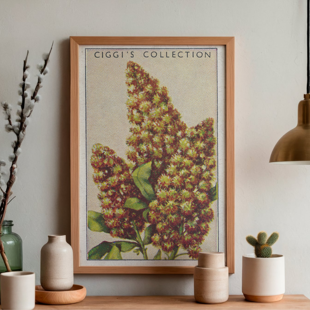 Vintage Migonette Flower Print | 1930's Cigarette Card
