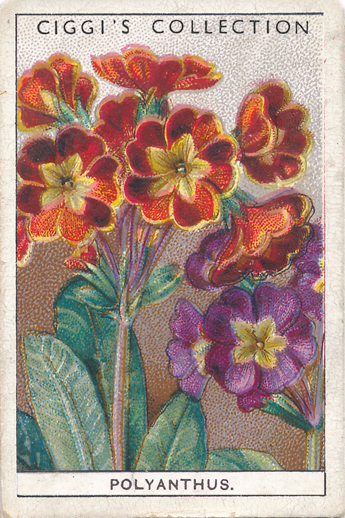 Garden Flowers 2 Posters