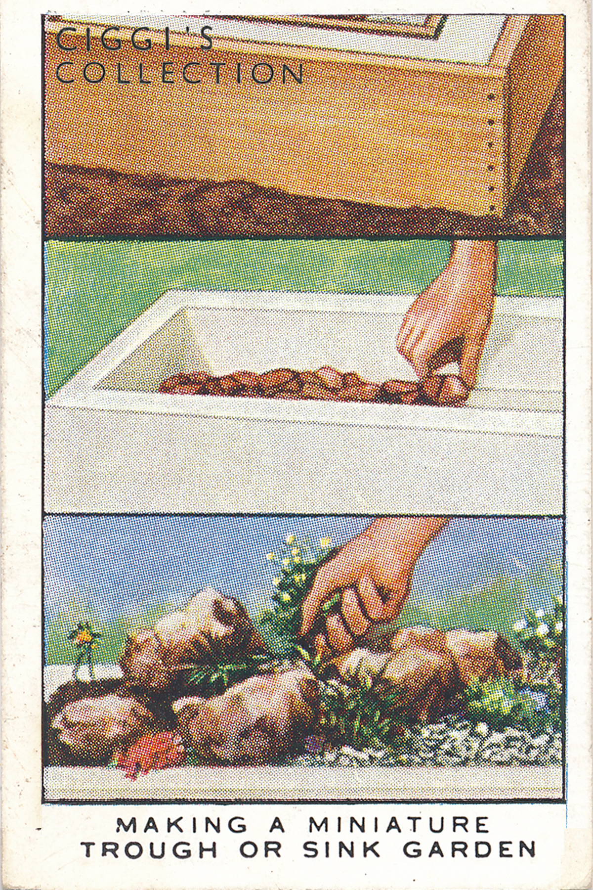 Garden Hints Posters