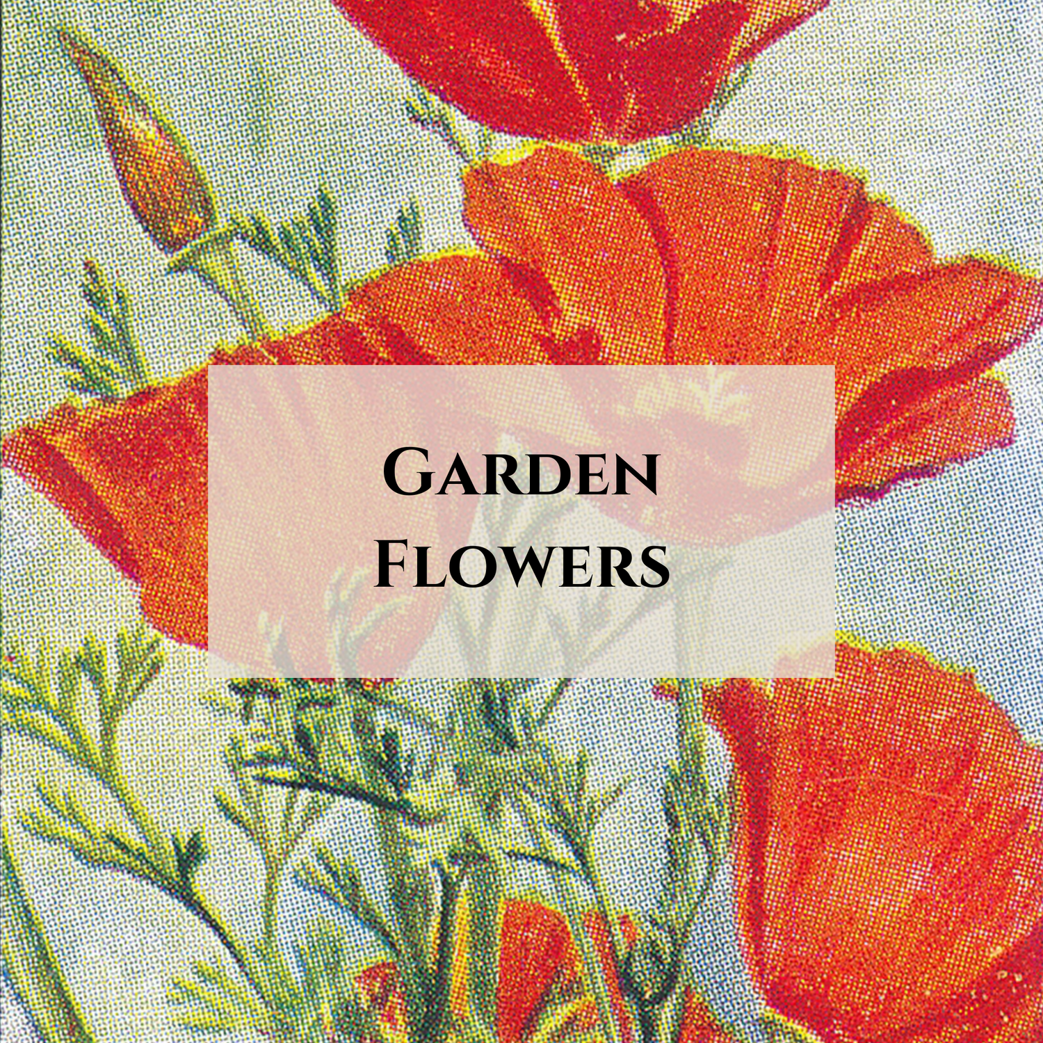 Garden Flowers
