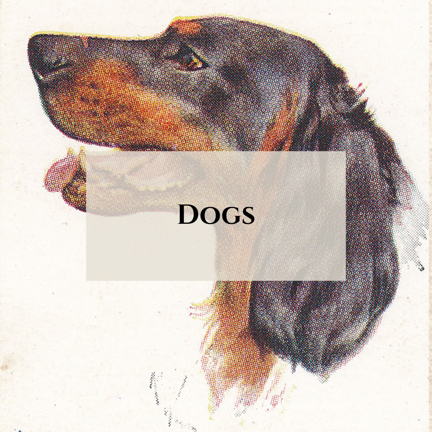 Dogs
