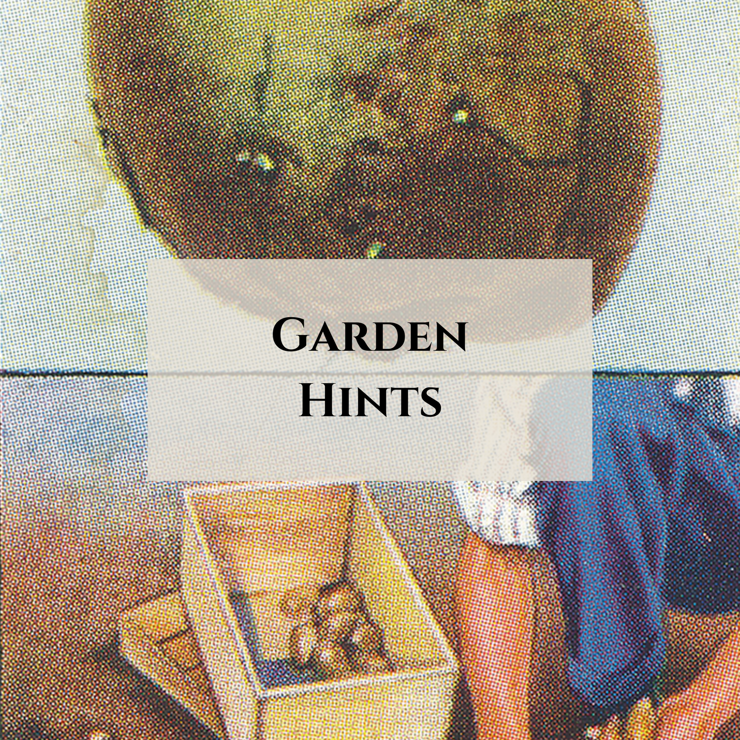 Garden Hints