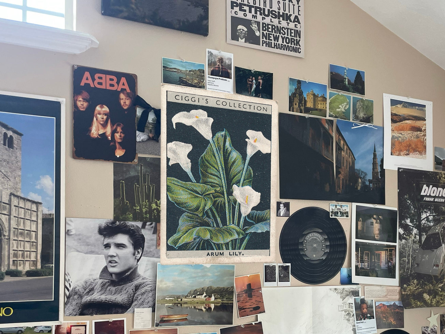 Collector's Favorites