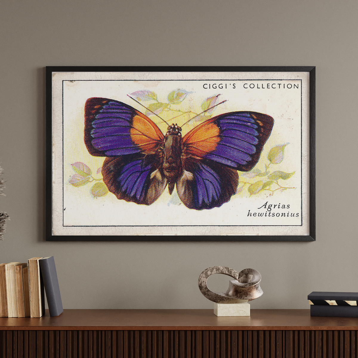 Vintage Agrias Butterfly Print | 1930s Cigarette Card Art