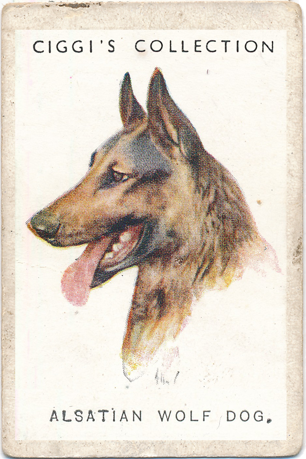 Dog Posters
