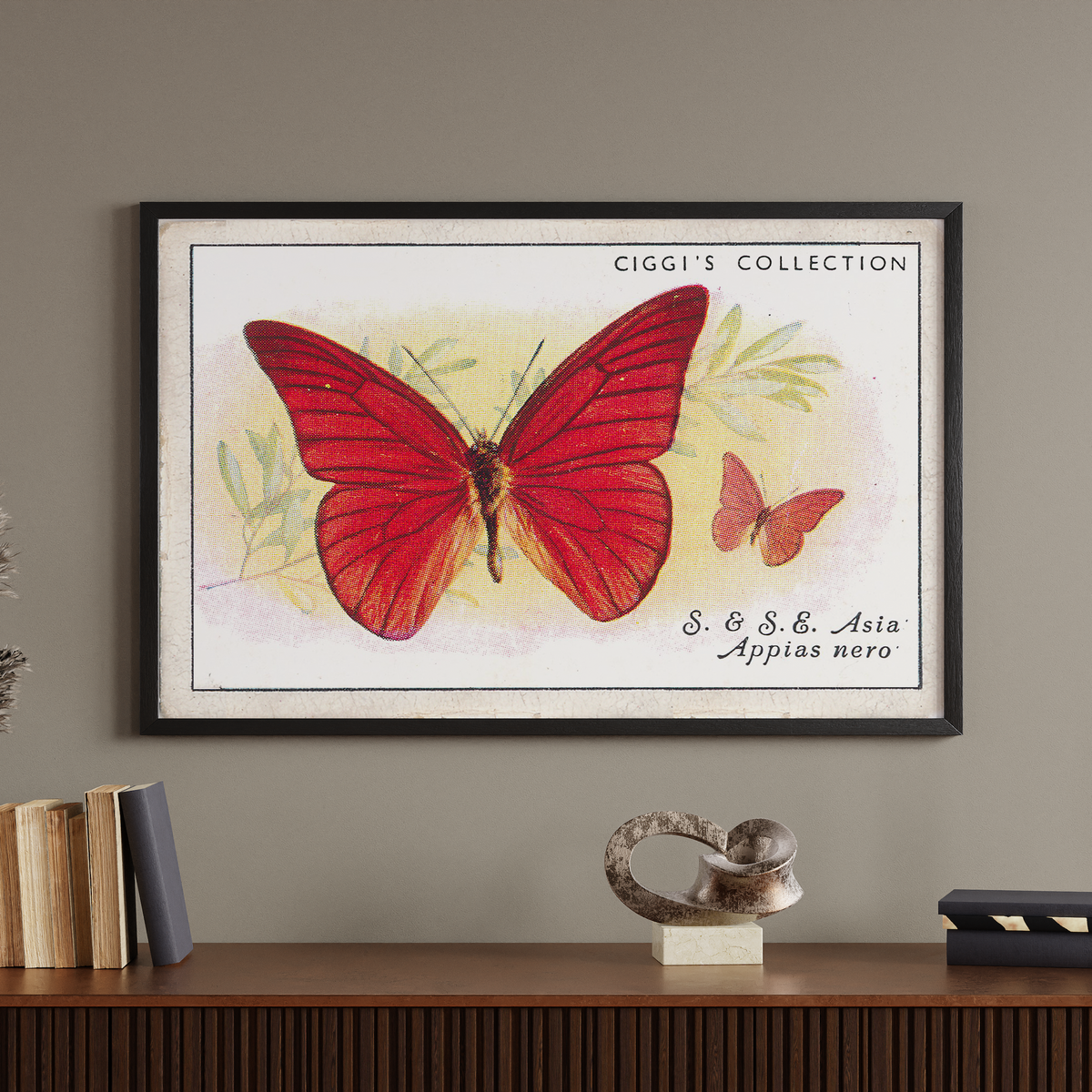 Vintage Appias Nero Butterfly Print | 1930s Cigarette Card Art