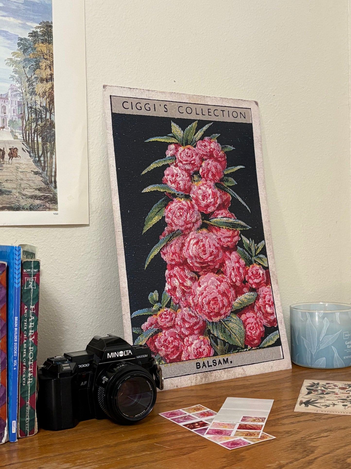 Vintage Balsam Flower Print | 1930's Cigarette Card