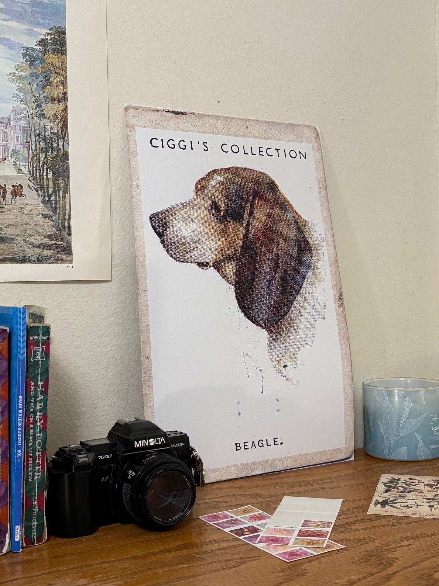 Vintage Beagle Dog Print | 1930's Cigarette Card