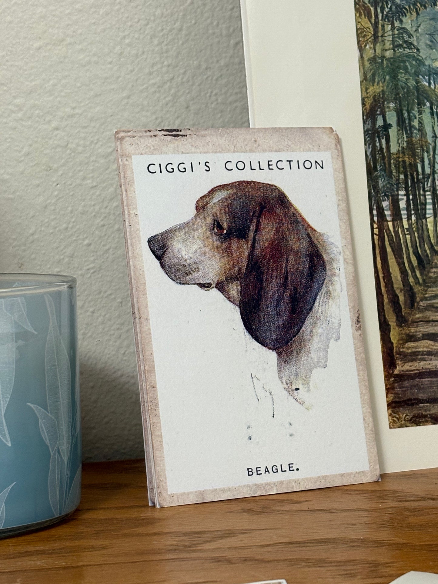 Vintage Beagle Dog Print | 1930's Cigarette Card
