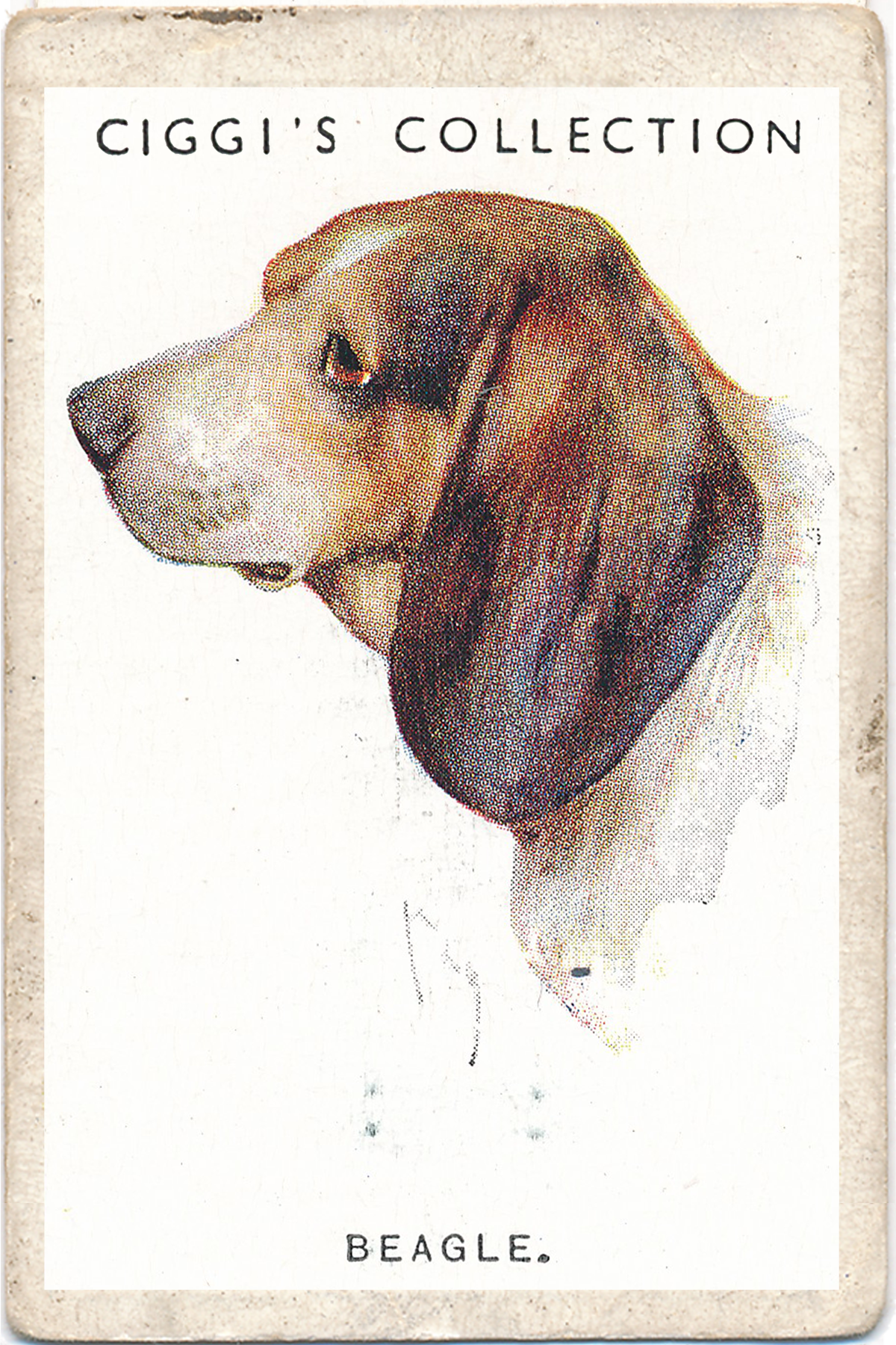 Dog Posters