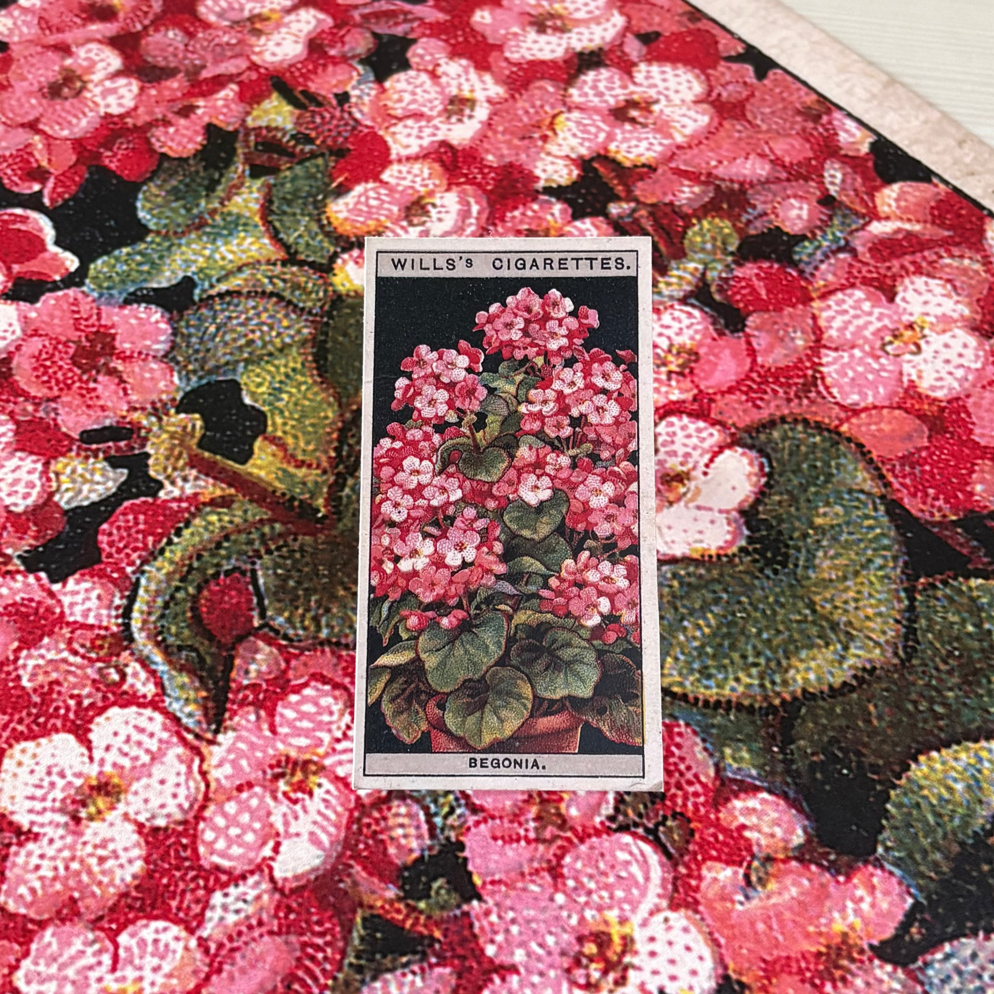flower cigarette cards 48 Vintage Garden Flowers Card Reproductions for Scrapbooking, Junk Journaling, Mixed Media Roses - cigarette cards -
