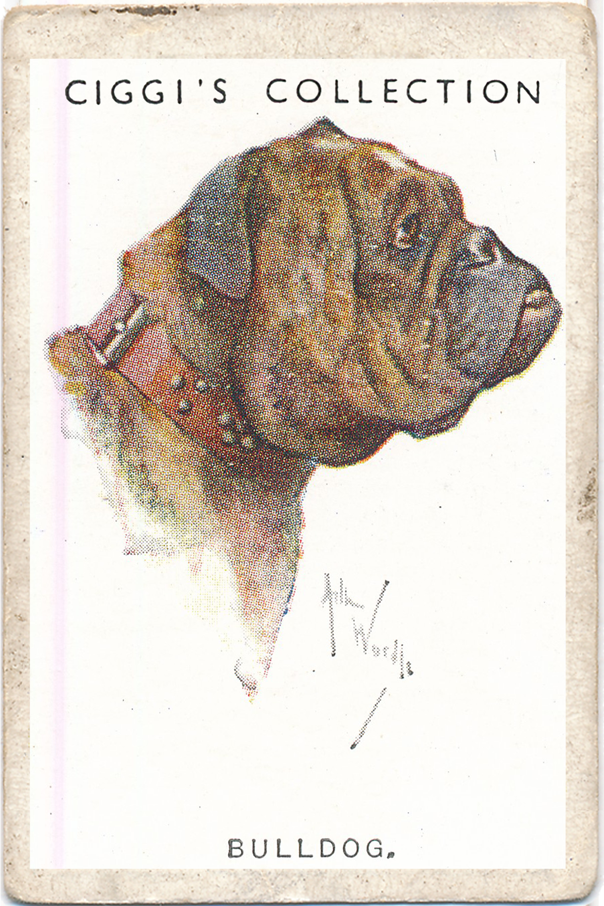 Dog Posters