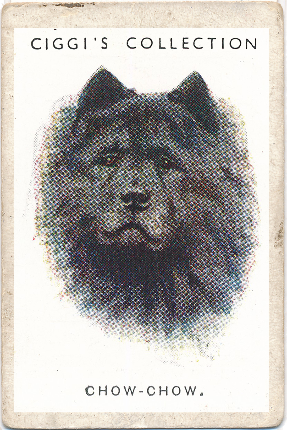 Dog Posters