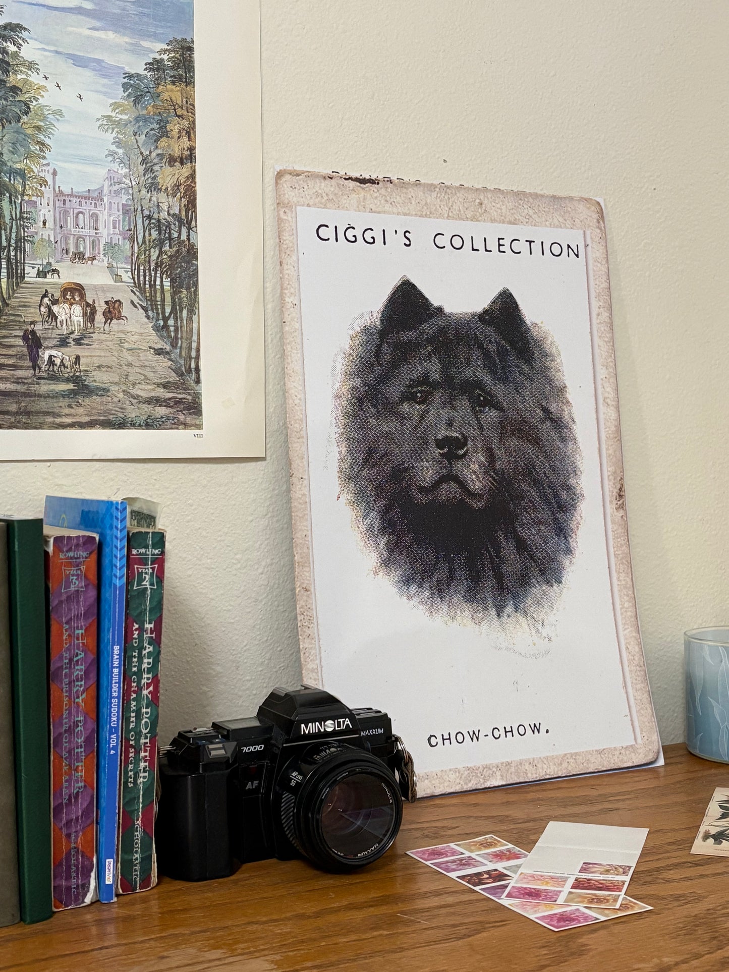 Vintage Chow Chow Dog Print | 1930's Cigarette Card