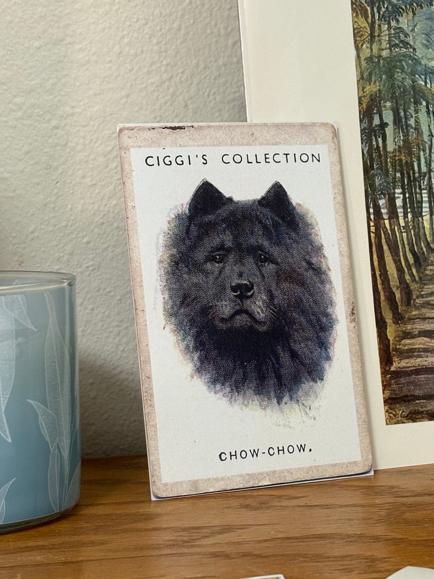 Vintage Chow Chow Dog Print | 1930's Cigarette Card