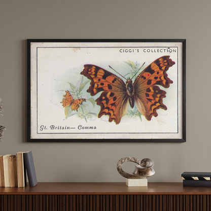 Vintage Comma Butterfly Print | 1930s Cigarette Card Art