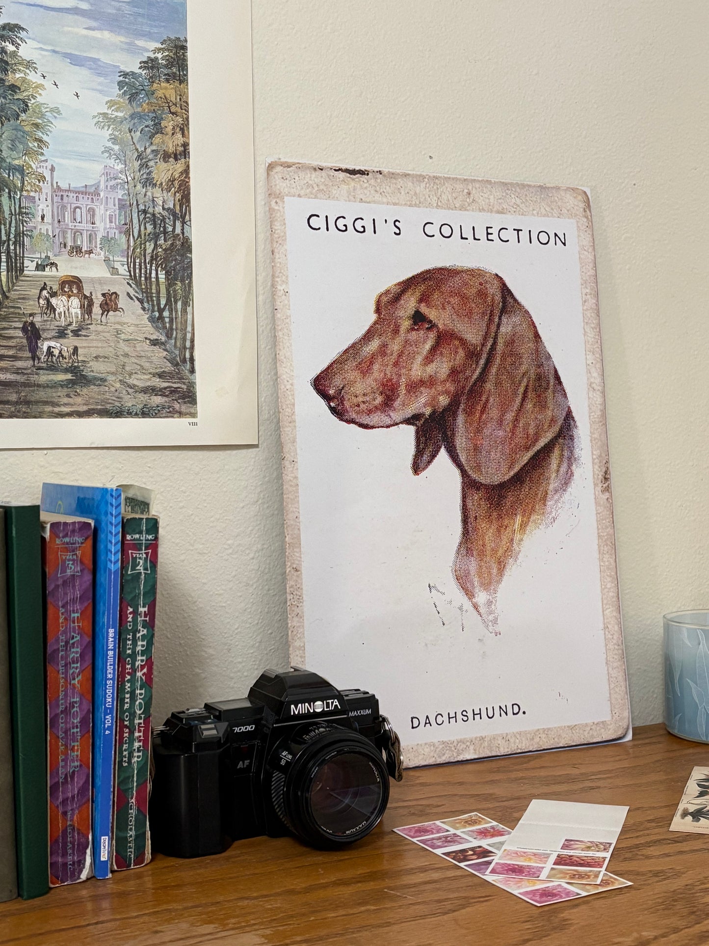 Vintage Dachshund Dog Print | 1930's Cigarette Card