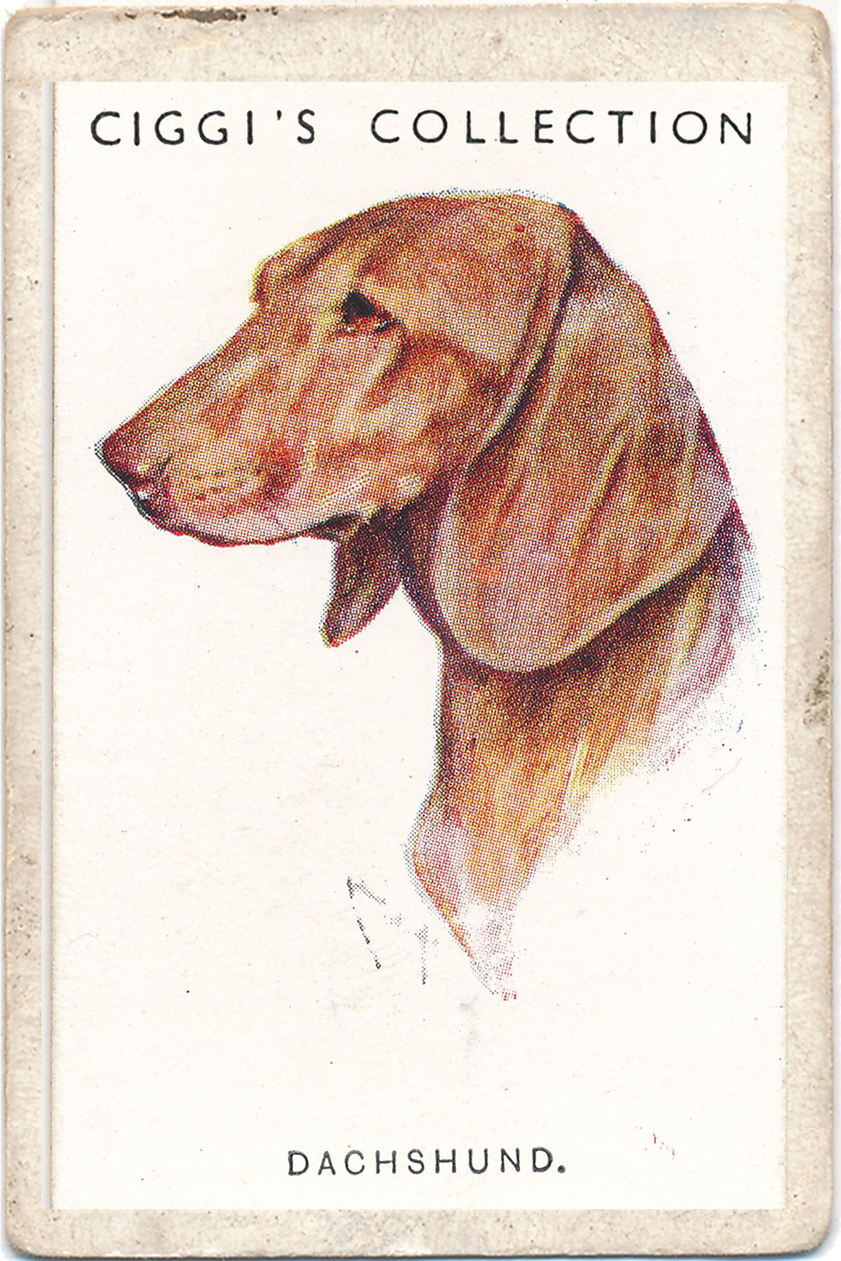 Dog Posters