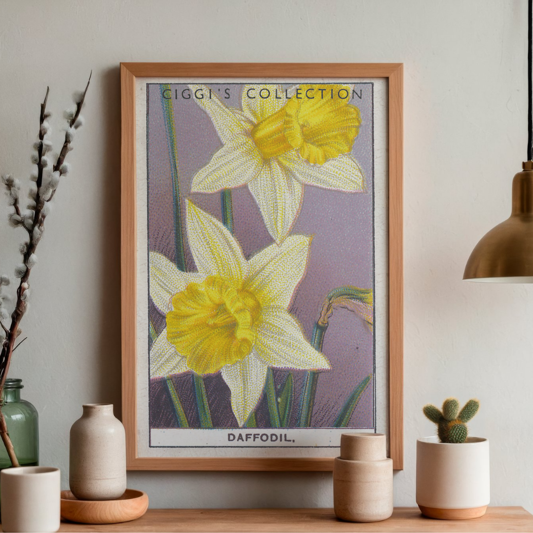 Vintage Daffodil Flower Print | 1930's Cigarette Card