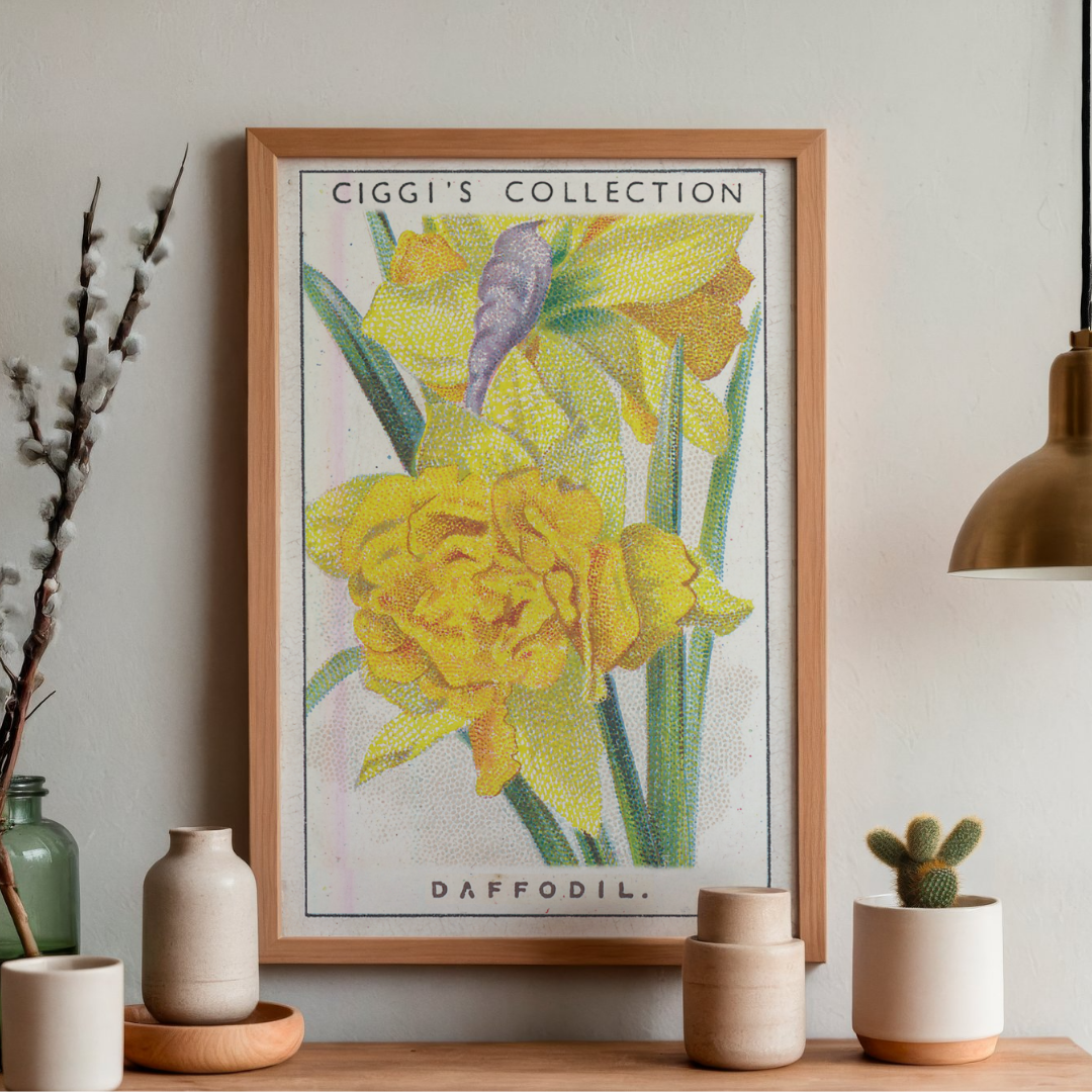 Vintage Daffodil Flower Print | 1930's Cigarette Card
