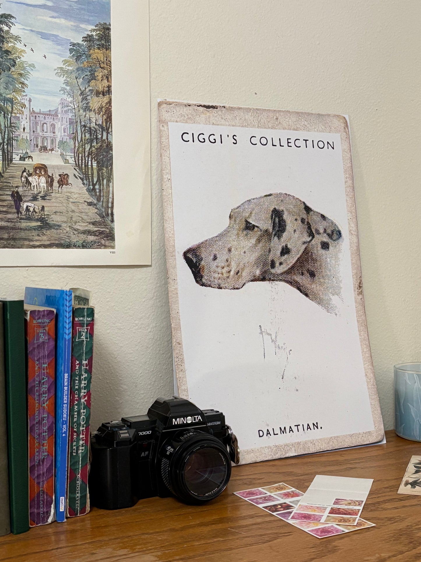 Vintage Dalmatian Dog Print | 1930's Cigarette Card