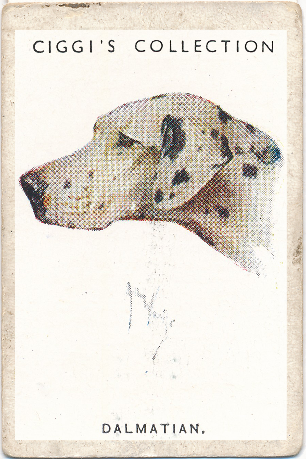 Dog Posters