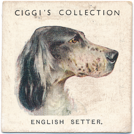 Dog Posters