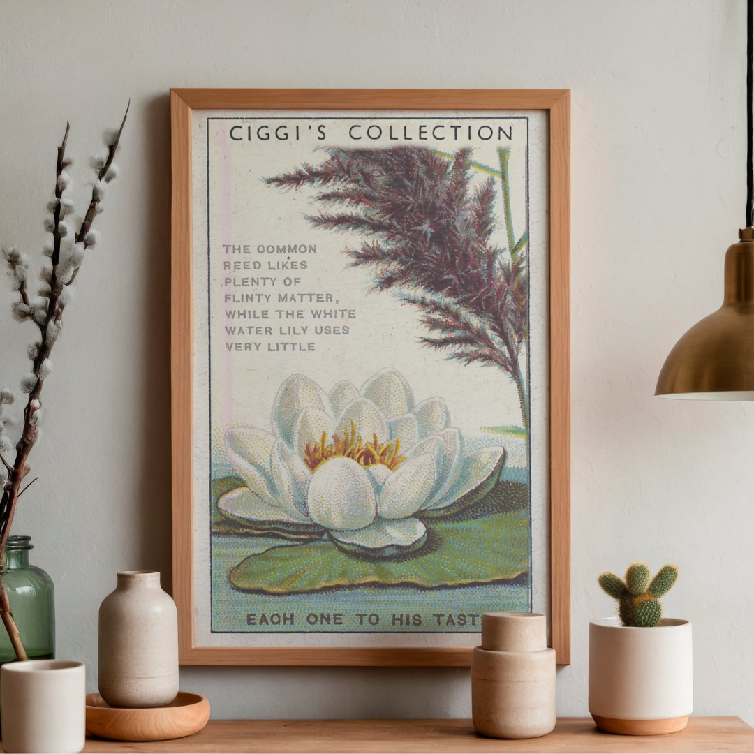 Vintage Each One Taste Flower Print | 1930's Cigarette Card
