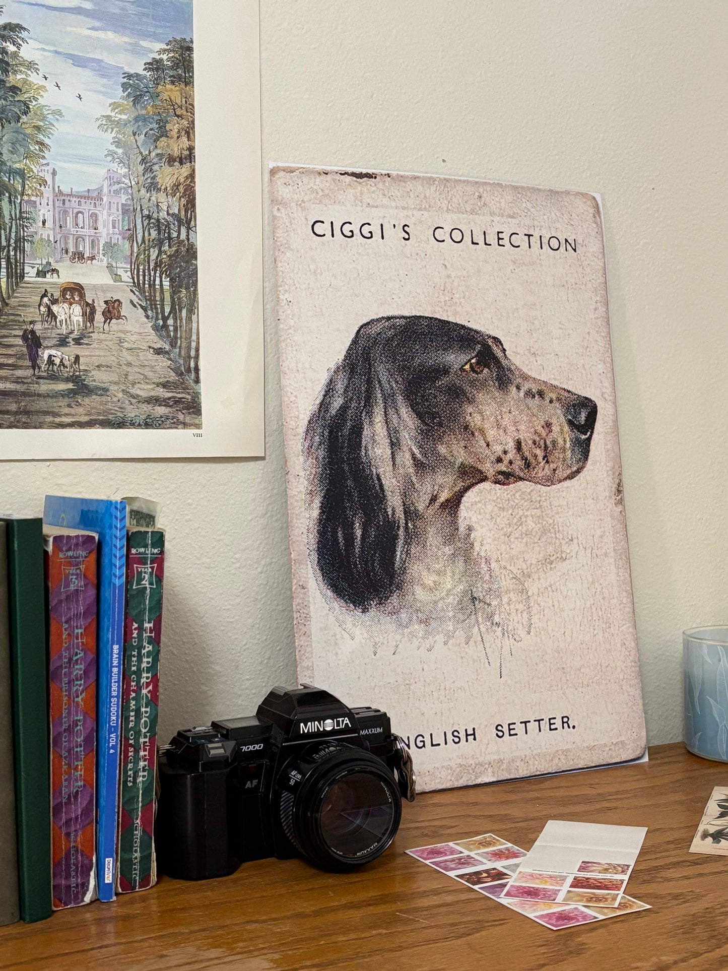 Vintage English Setter Dog Print | 1930s Cigarette Card Art