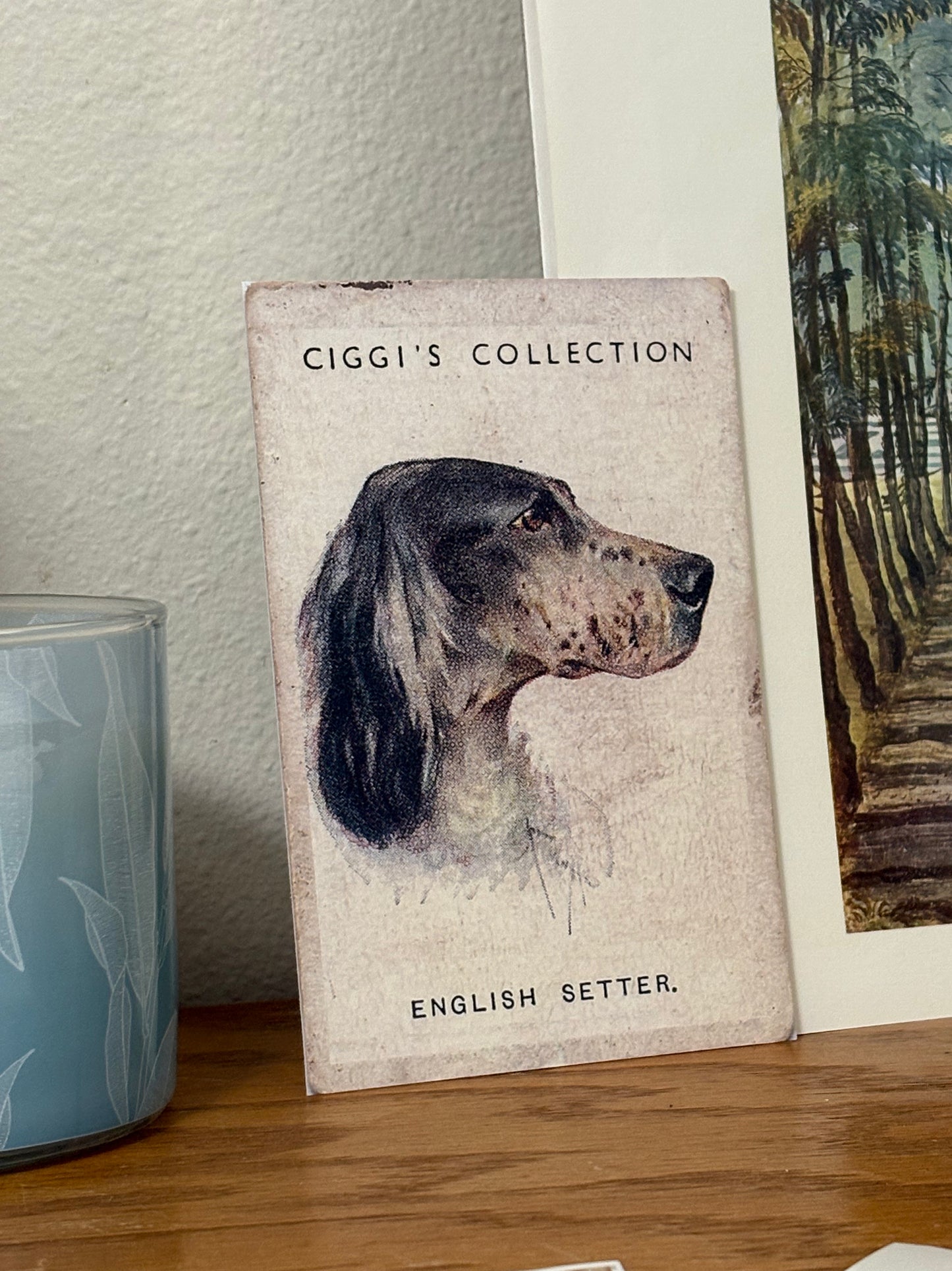 Vintage English Setter Dog Print | 1930s Cigarette Card Art
