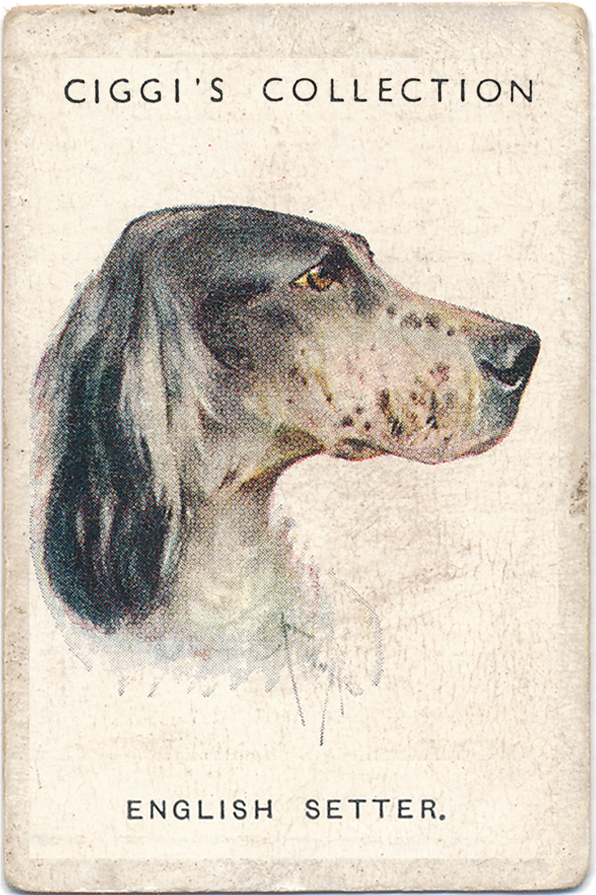 Dog Posters