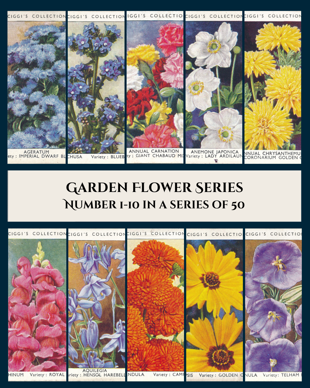 Garden Flowers Series No. 1 - 10 Posters