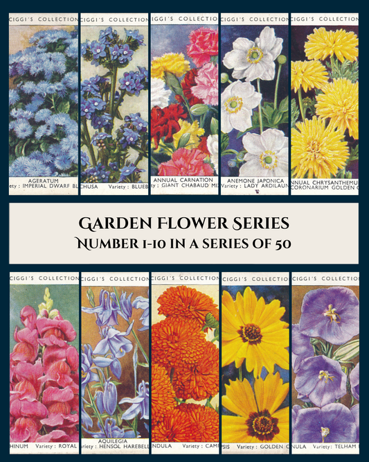Garden Flowers Series No. 1 - 10 Posters