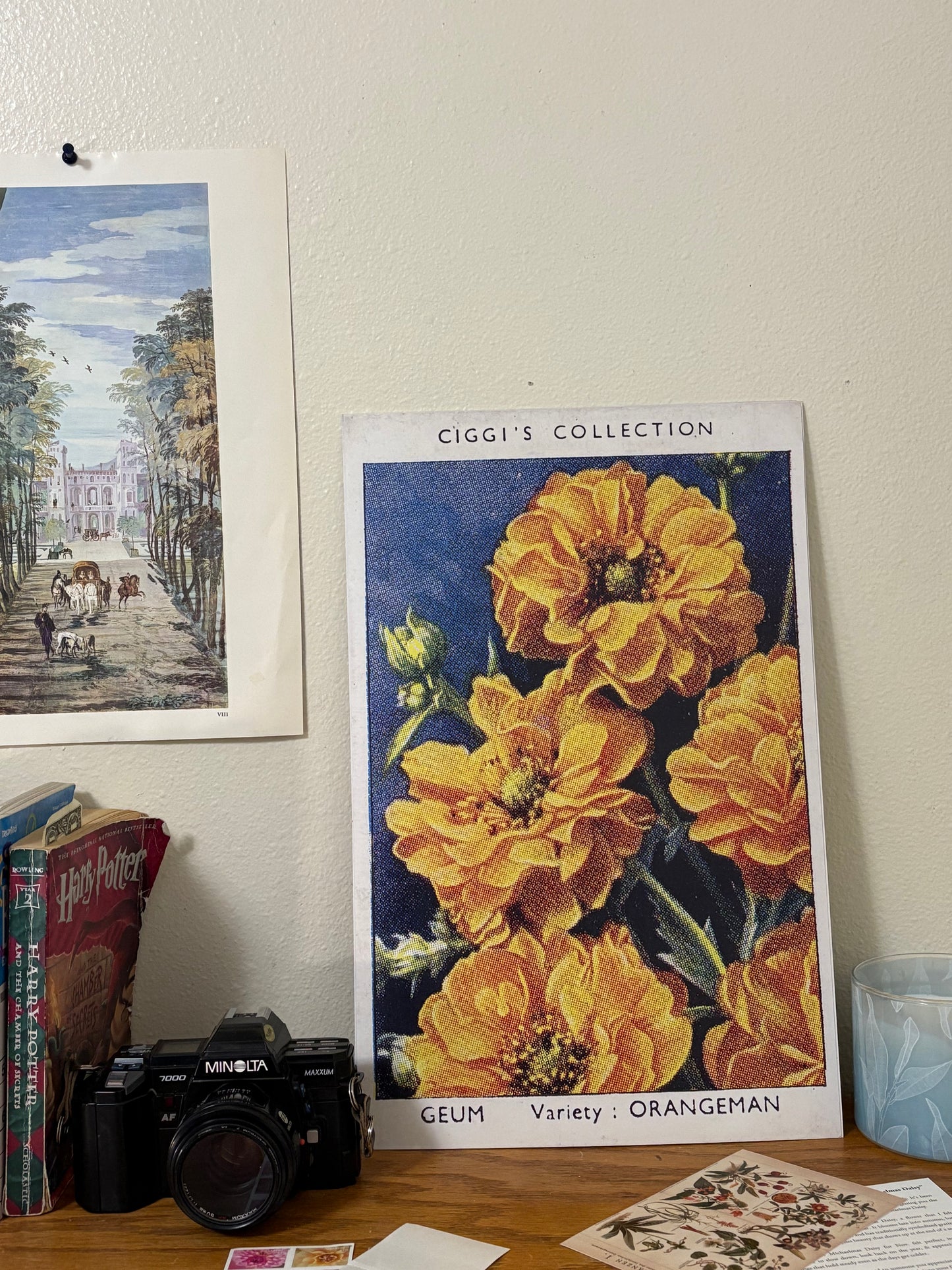 Vintage Geum Avens Flower Print | 1930s Cigarette Card Art