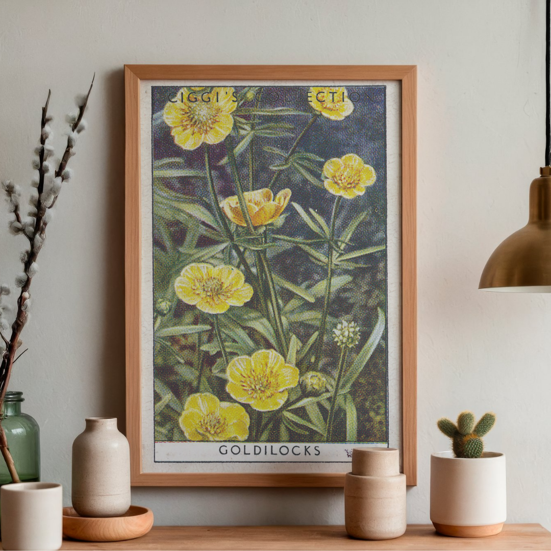 Vintage Goldilocks Flower Print | 1930's Cigarette Card