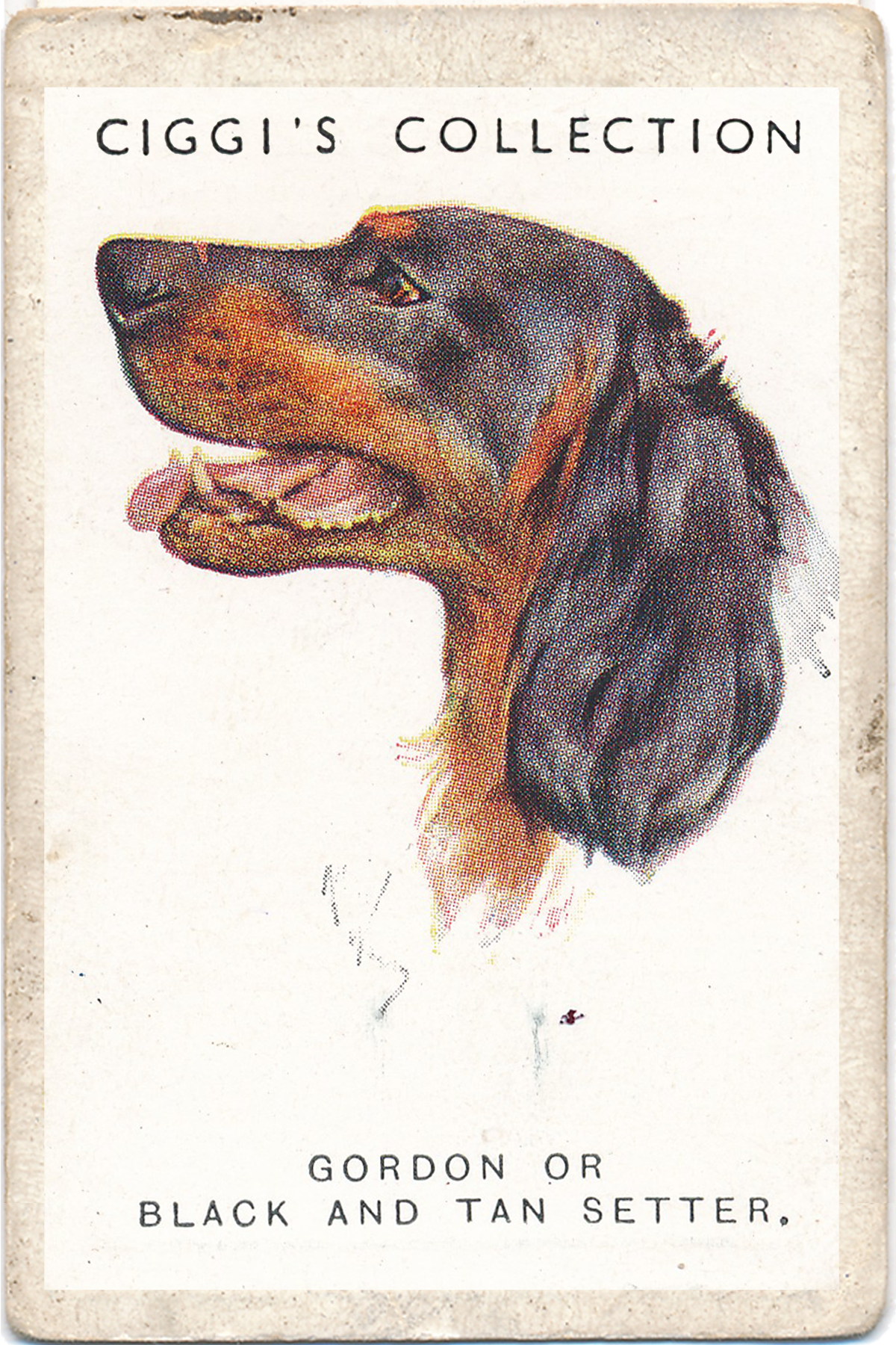 Dog Posters