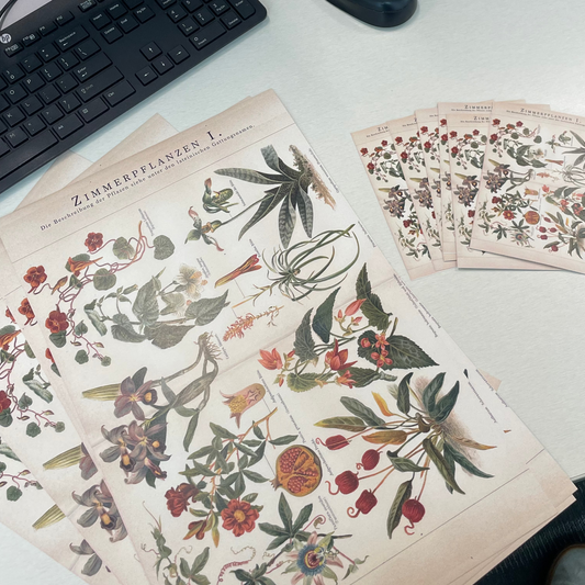 Botanical Print