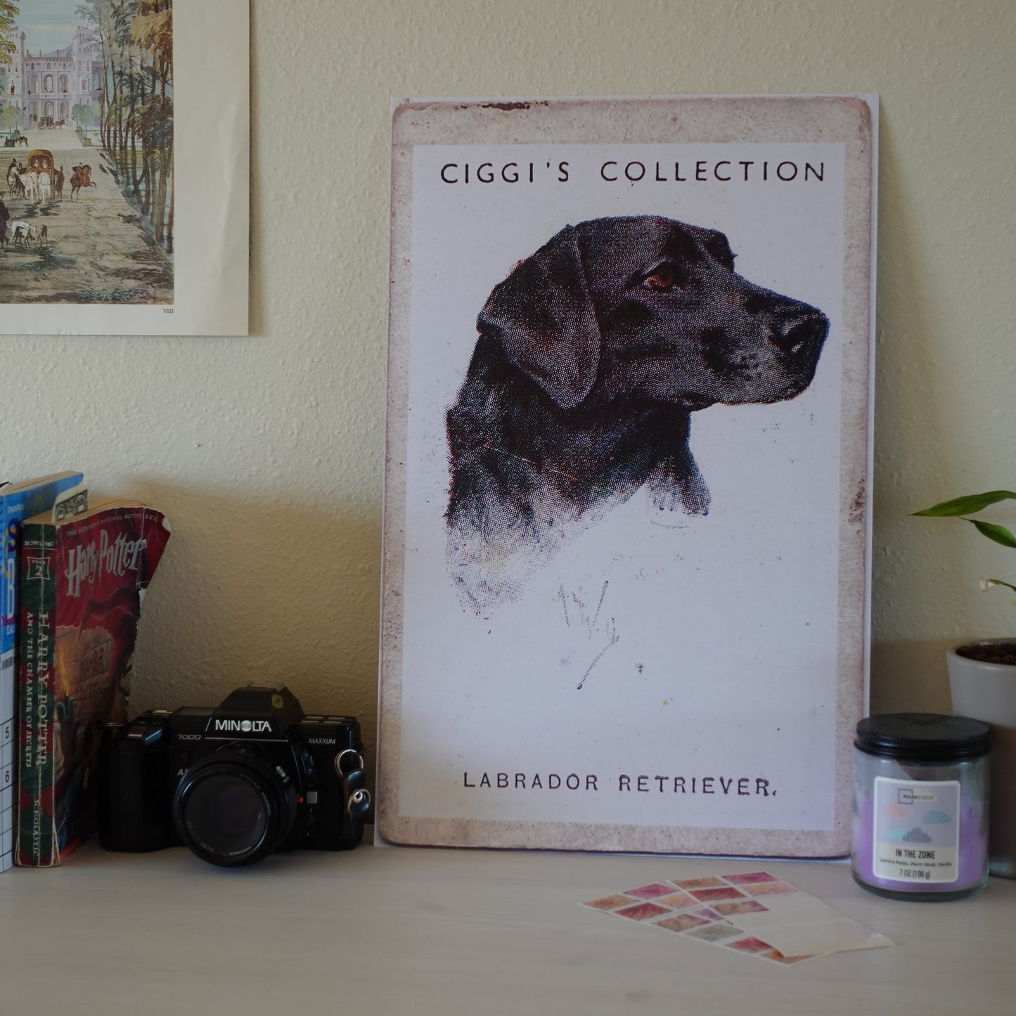 Vintage Labrador Retriever Dog Print | 1930's Cigarette Card