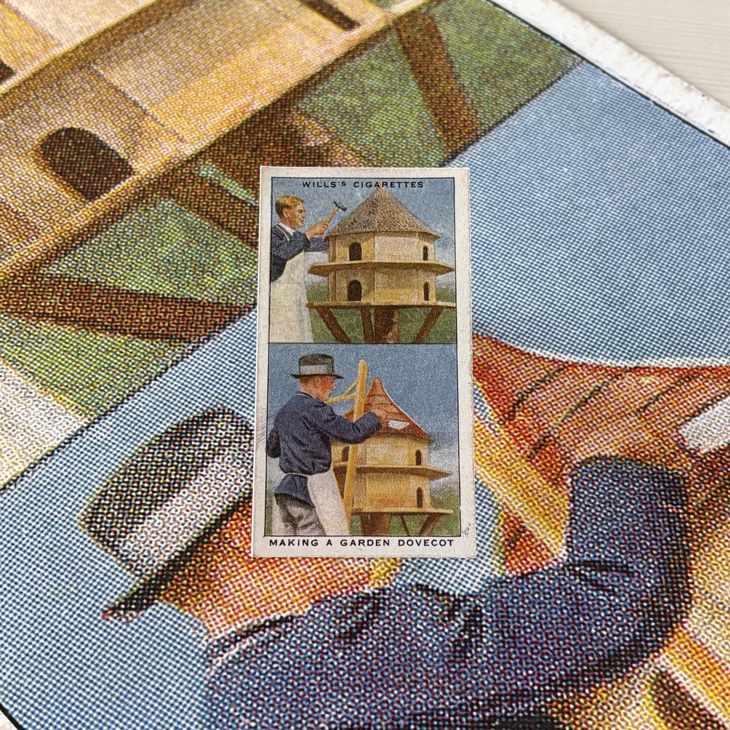 Vintage Making a Dovecot Garden Hint | 1930s Cigarette Card Art