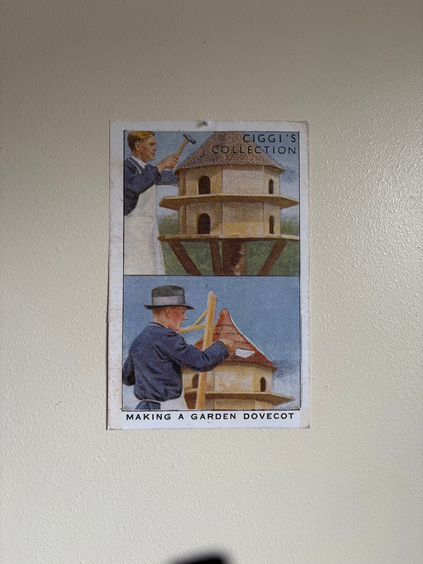Vintage Making a Dovecot Garden Hint | 1930s Cigarette Card Art